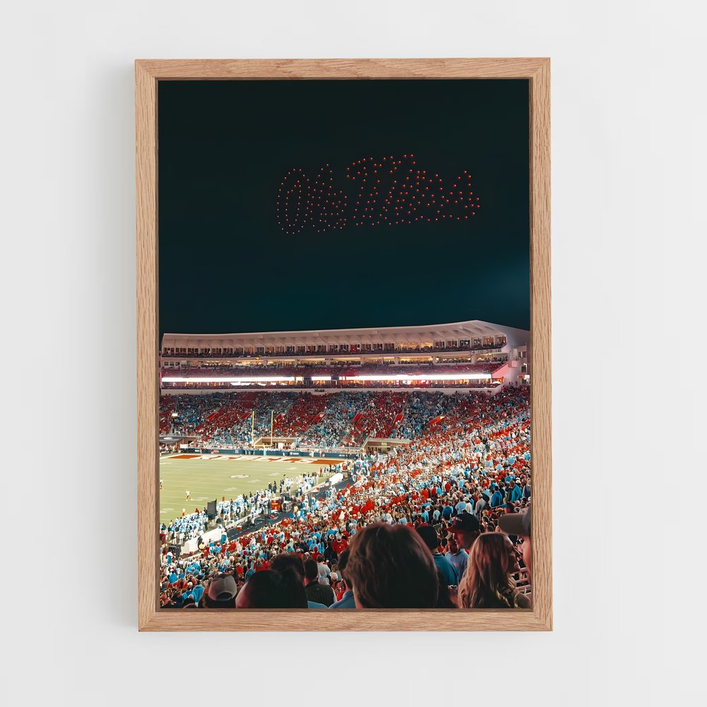 Poster Nuit des Rebels – affiche Baseball (vue 4)